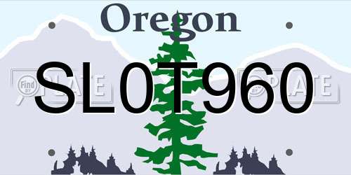 SL0T960 Oregon License Plate