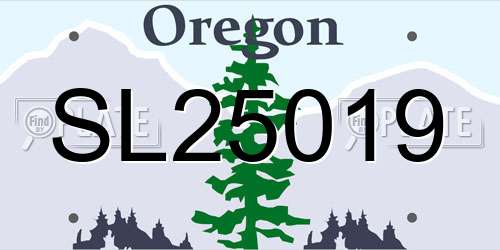 SL25019 Oregon License Plate