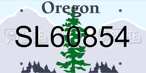 SL60854 Oregon License Plate
