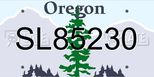 SL85230 Oregon License Plate