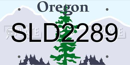 SLD2289 Oregon License Plate