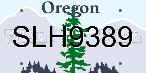 SLH9389 Oregon License Plate