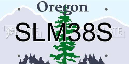 SLM38S Oregon License Plate