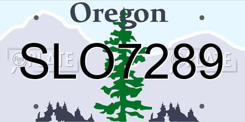 SLO7289 Oregon License Plate