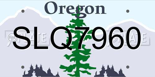 SLQ7960 Oregon License Plate