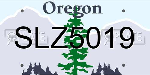SLZ5019 Oregon License Plate