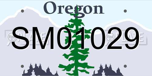 SM01029 Oregon License Plate