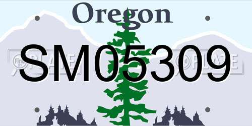 SM05309 Oregon License Plate