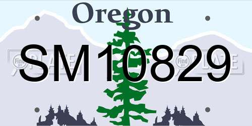 SM10829 Oregon License Plate