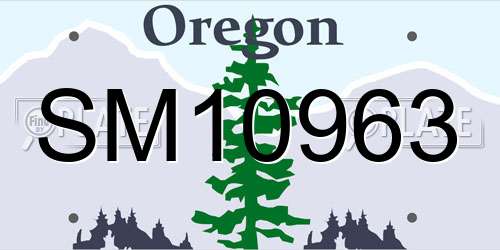 SM10963 Oregon License Plate