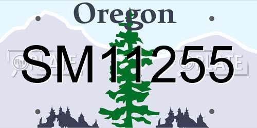 SM11255 Oregon License Plate