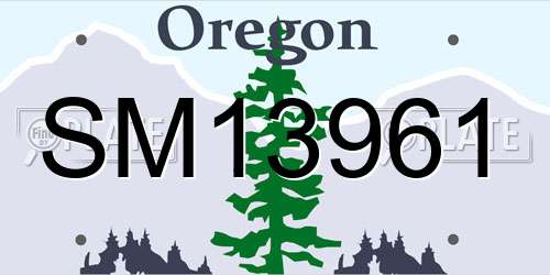 SM13961 Oregon License Plate
