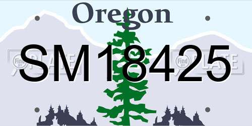 SM18425 Oregon License Plate