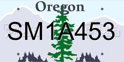 SM1A453 Oregon License Plate