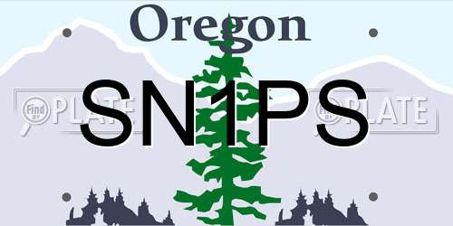 SN1PS Oregon License Plate