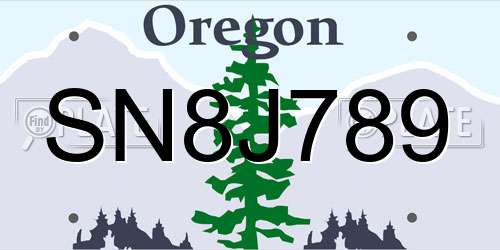 SN8J789 Oregon License Plate