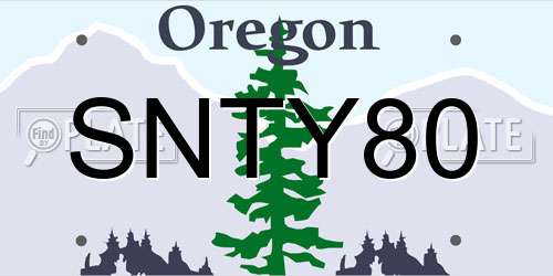 SNTY80 Oregon License Plate
