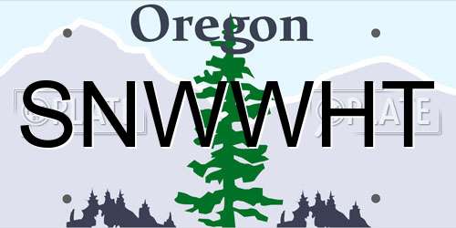 SNWWHT Oregon License Plate