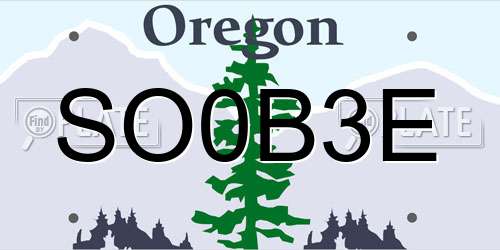 SO0B3E Oregon License Plate