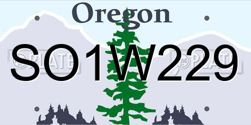 SO1W229 Oregon License Plate