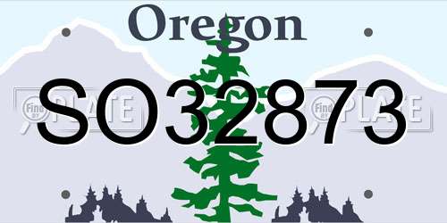 SO32873 Oregon License Plate