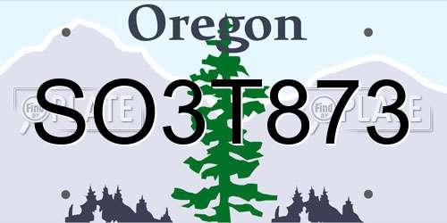 SO3T873 Oregon License Plate