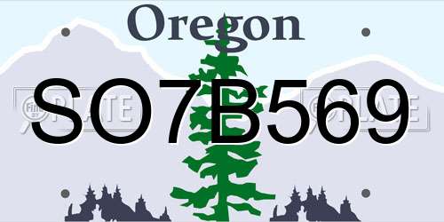 SO7B569 Oregon License Plate