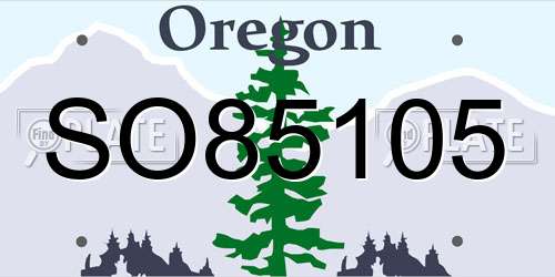 SO85105 Oregon License Plate