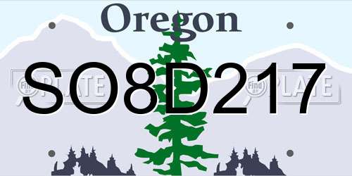 SO8D217 Oregon License Plate