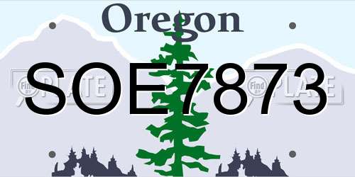 SOE7873 Oregon License Plate