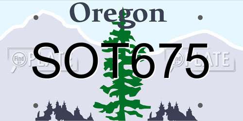 SOT675 Oregon License Plate