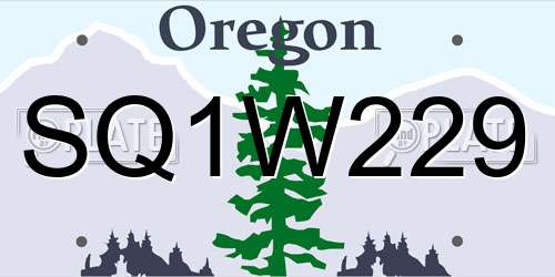 SQ1W229 Oregon License Plate