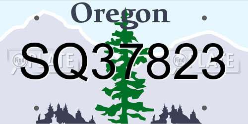 SQ37823 Oregon License Plate