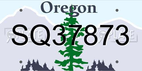 SQ37873 Oregon License Plate