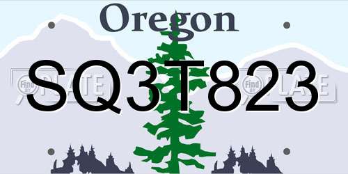 SQ3T823 Oregon License Plate