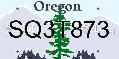 SQ3T873 Oregon License Plate