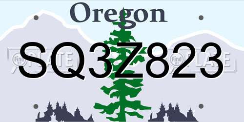 SQ3Z823 Oregon License Plate