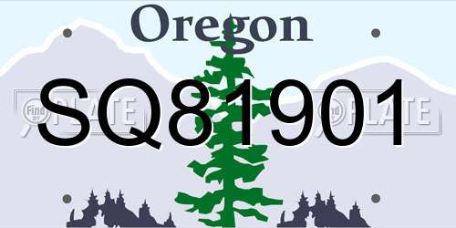 SQ81901 Oregon License Plate