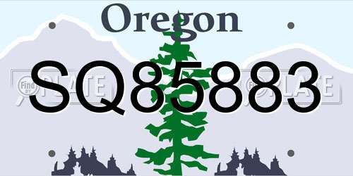 SQ85883 Oregon License Plate