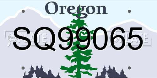 SQ99065 Oregon License Plate