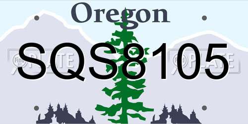 SQS8105 Oregon License Plate