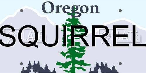 SQUIRREL Oregon License Plate