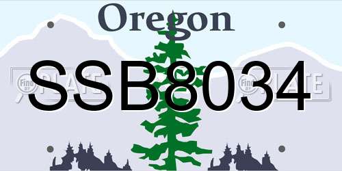 SSB8034 Oregon License Plate