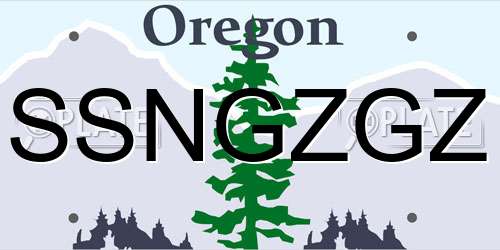 SSNGZGZ Oregon License Plate