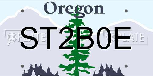 ST2B0E Oregon License Plate