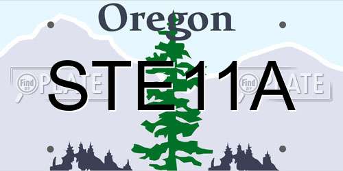 STE11A Oregon License Plate