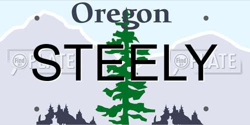 STEELY Oregon License Plate