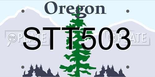 STT503 Oregon License Plate