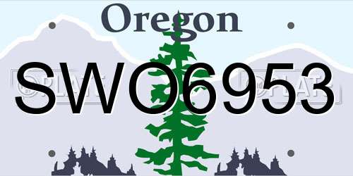 SWO6953 Oregon License Plate