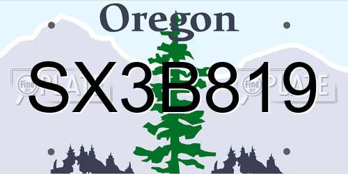 SX3B819 Oregon License Plate